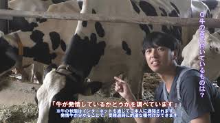 大分県　はみんぐ・まむ