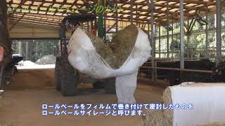 宮崎県　黒木牧場