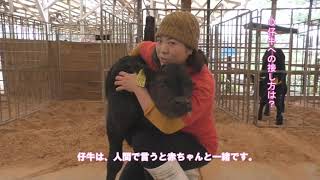 熊本県　隈部牧場