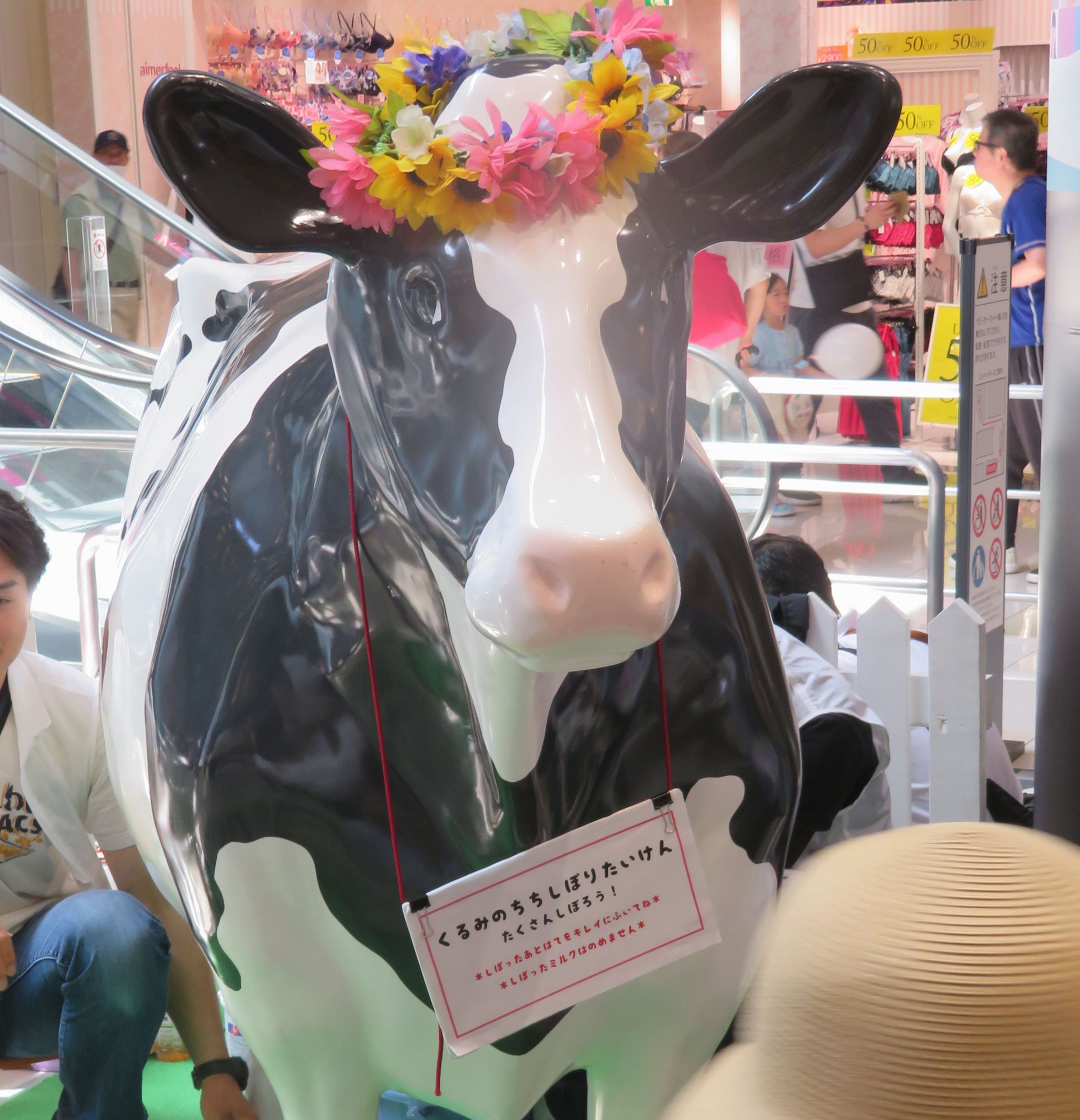 ハッピーミルクフェスタ2019『牛乳ヒゲコンテスト』『牛乳クイズ大会』優勝者紹介！！