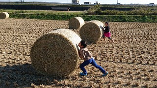佐賀県　大富牧場